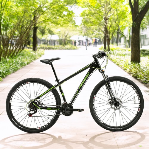 Bicicleta FireBird R29 Aluminio