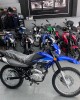 Zanella ZT 150